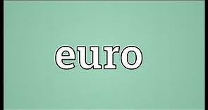 Euro Meaning