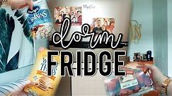 What's in my College Dorm Mini-Fridge?
