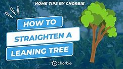 How to Straighten a Leaning Tree with a Tree Stake