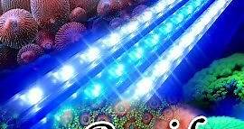 海水缸LED燈具~ 多光譜,多角度,高穿透力 (有光譜圖的LED水族燈)＠光研院｜VITAgri - 非營利組織｜PChome Online 個人新聞台