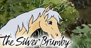 The Silver Brumby | Golden Goes Home 🐎| HD FULL EPISODES