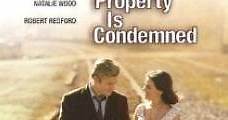 Propiedad condenada (1966) Online - Película Completa en Español - FULLTV