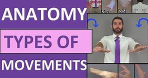 Body Movement Terms Anatomy | Body Planes of Motion | Synovial Joint Movement Terminology