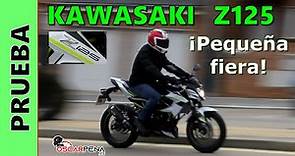 KAWASAKI Z125 2020-2021-2022. Depredador de 125 cc | Prueba, opinión y review en español