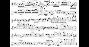 Reinecke, Carl violin concerto opus 141