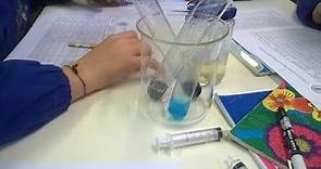 Semplici Esperimenti di Chimica (Introduzione)