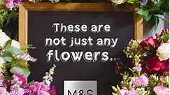M&S Flowers