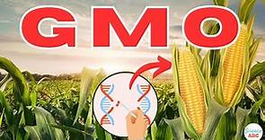 What are GMOs (Genetically Modified Organisms)?