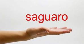 How to Pronounce saguaro - American English
