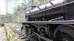 Gauge 1 trains-passenger trains on a summers day