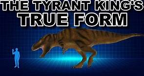 The Size Limit of Tyrannosaurus rex