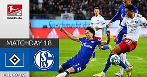 Strong Fight in Hamburg | Hamburger SV - FC Schalke 04 1-1 | Highlights | MD 18 – Bundesliga 2