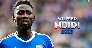 Wilfred Ndidi 2023 - Amazing Skills, Tackles, Assists & Goals - Leicester City | HD