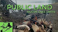 Public Land Duck Hunting - Muddy Lake Limits