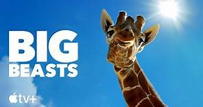 Big Beasts - Maestose Creature: il trailer della docuserie narrata da Tom Hiddleston