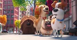 The Secret Life Of Pets - Official® Trailer 4 [HD]