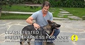 Dog Safety Harness - Use and Installation - Dog Training and Safety