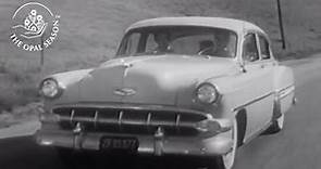 1950s Family Road Trip: A Film to Enjoy Together