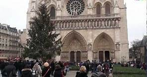 All bells ringing at Notre Dame Cathedral in Paris