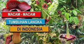 10 Daftar tumbuhan langka di Indonesia yang terancam punah