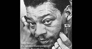 Little Walter - The Greatest In Blues Masters