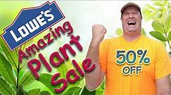 Lowes Amazing Plant Sale On Shrubs