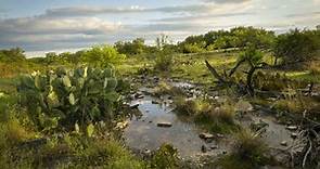 Blue Mountain Peak Ranch Restoration, Texas - The Conservation Agency