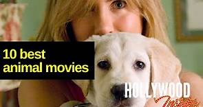 Animals and Pets in Film: A Look at What Animals Bring to Film | Best Animal Movies