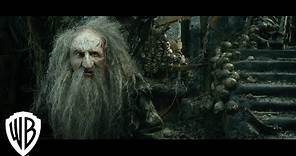 The Hobbit: The Desolation of Smaug | Extended Edition - Trailer | Warner Bros. Entertainment