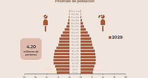 06 Pirámide de Población Chihuahua