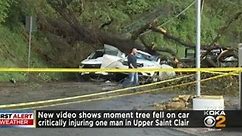 New video shows moment tree fell on car critically injuring one man in Upper St. Clair