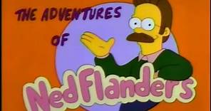 The Adventures Of Ned Flanders (The Simpsons)