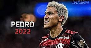 Pedro 2022 ● Flamengo ► Amazing Skills & Goals | HD