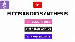 Eicosonoids Synthesis - Leukotrienes, Prostaglandins and Thromboxanes