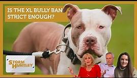 Is the XL bully ban strict enough? Feat. Carole Malone & Kevin Maguire | Storm Huntley