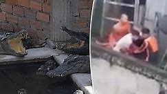 Crocodile farm boss eaten alive after 40 of his own animals ‘pounced’