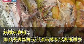 有图有真相！国台办现场展示台湾菠萝所含害虫图片
