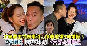徐若瑄證實結束9年婚姻 與李雲峰發共同聲明「克服不了雙方的差異」
