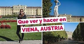 20 Cosas Que Ver y Hacer en Viena, Austria Guía Turística