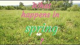 What happens in spring?
