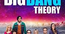 The Big Bang Theory - guarda la serie in streaming