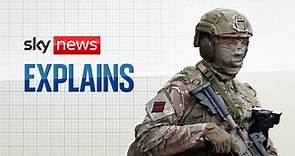 What is the current state of the British armed forces? | UK News | Sky News