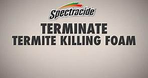 Spectracide Terminate 16 oz. Termite Killing Foam HG-53370-7