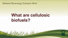 What are cellulosic biofuels?