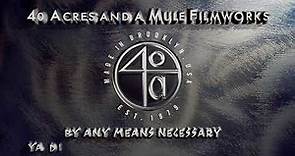 40 Acres and a Mule Filmworks (2000)