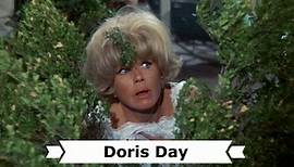 Doris Day: "Schick mir keine Blumen" (1964)
