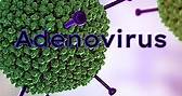 Adenovirus Cases Rise in Children || High Fever & Cough (Adenovirus Infection) जानें इसके Symptoms #adenovirus #coronavirus #virus #covid #enterovirus #parainfluenza #influenza #microbiology #rhinovirus #respiratorysyncytialvirus #hpv #rotavirus #hiv #ebola #vaccinessavelives #ebolahemorrhagicfever #sarscov #rubeola #vaccination #immunization #conjuntivite #metapneumovirus #norovirus #flu #vaccines #mumps #vaccine #a #dna #retrovirus | Tandrustai Namah