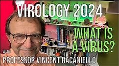 Virology Lectures 2024 #1: What is a virus?