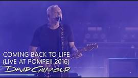 David Gilmour - Coming Back To Life (Live At Pompeii)