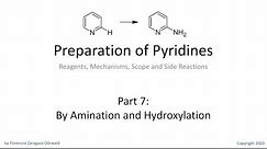 Preparation of Pyridines, Part 7: By Amination and Hydroxylation